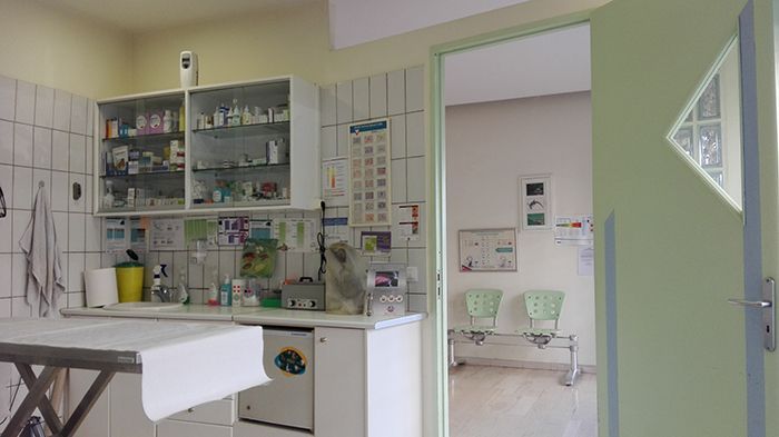 Κτηνίατρος Χανδράς Κωνσταντίνος - Vet Practice