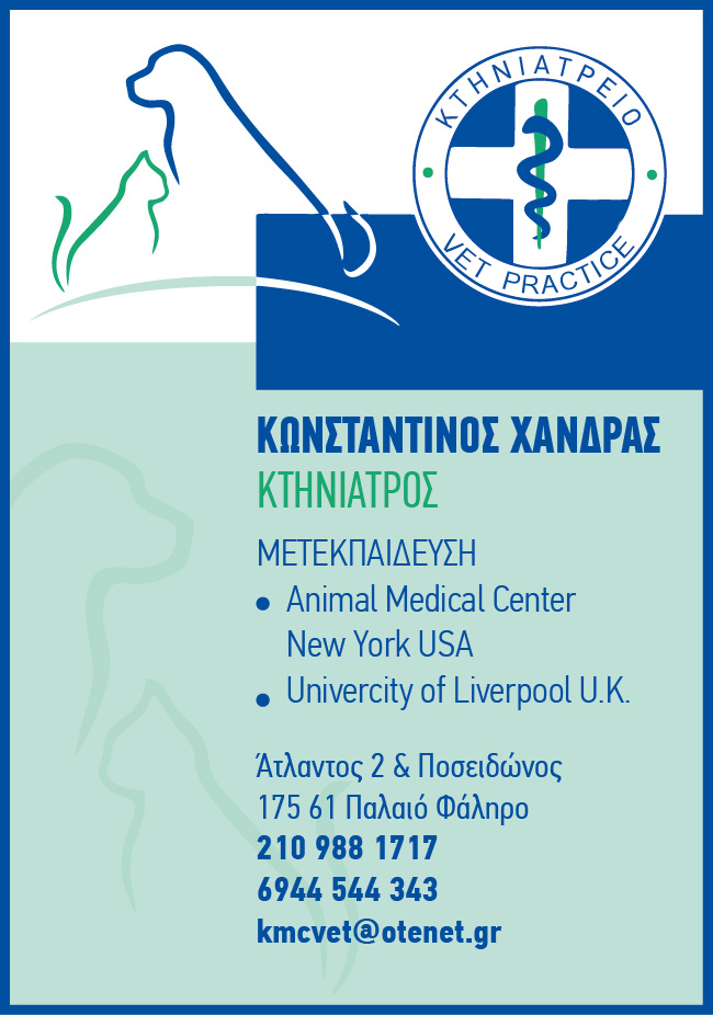 Κτηνίατρος Χανδράς Κωνσταντίνος - Vet Practice