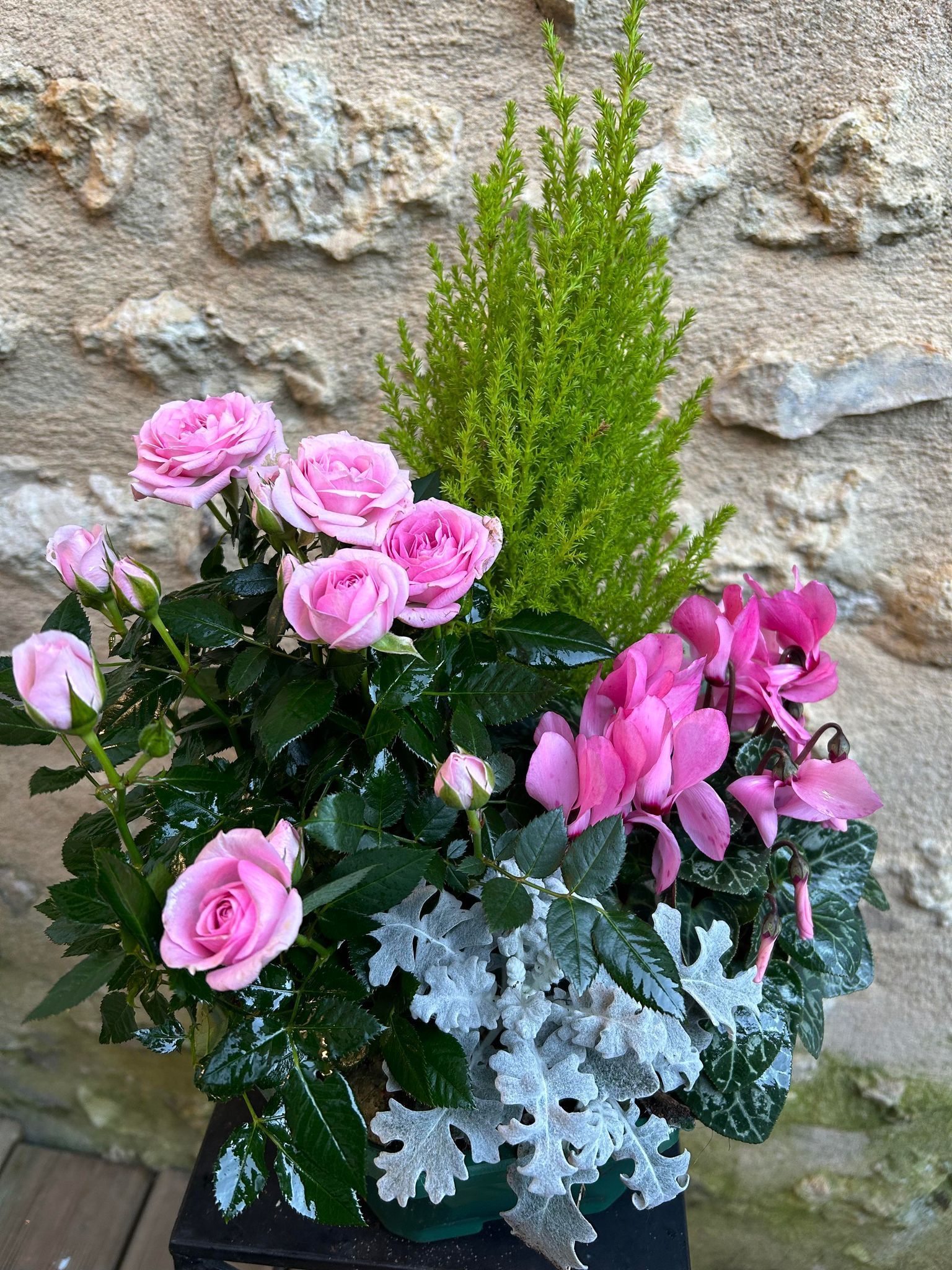 D 59 Coupe de plantes