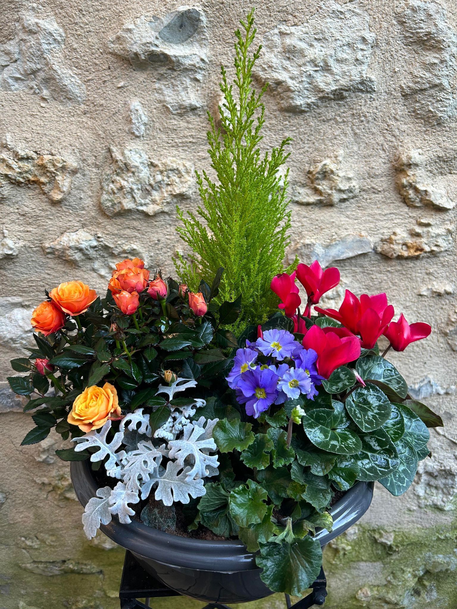 D 61 Coupe de plantes extérieures