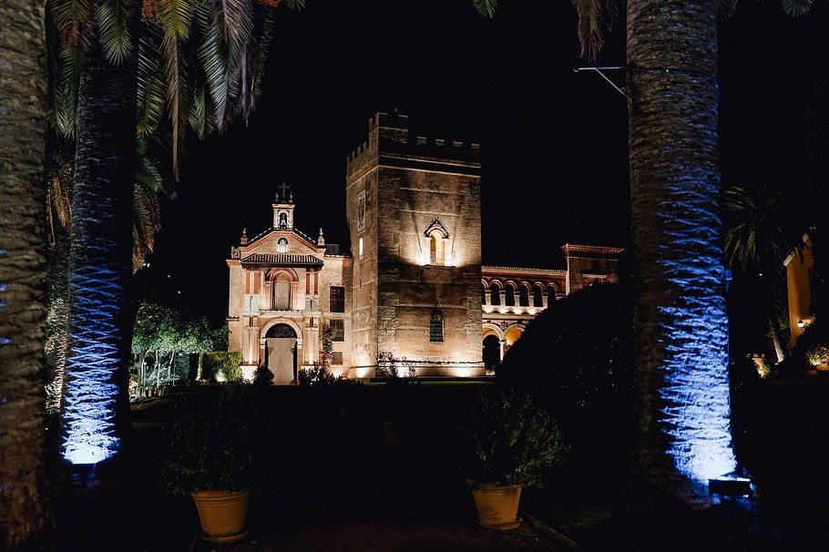 Iglesia o catedral histórica iluminada de noche y enmarcada por palmeras bajo un cielo oscuro