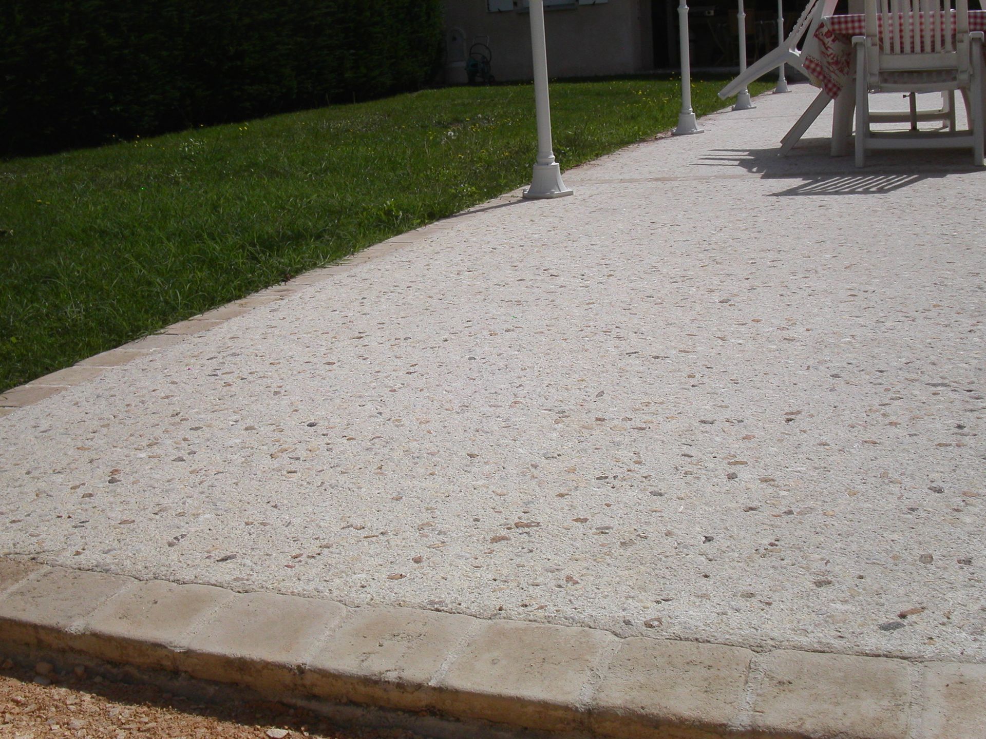 Un petit arbre et du béton bouchardé