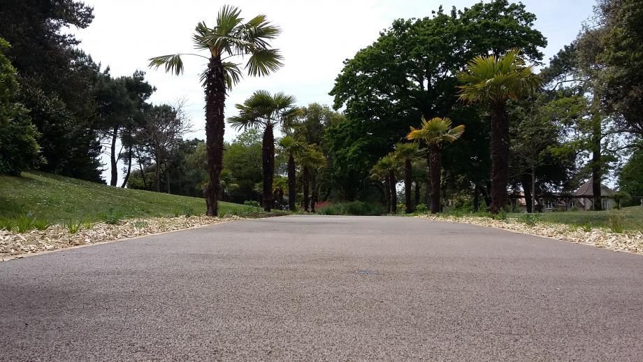 Allée de jardin en béton drainant