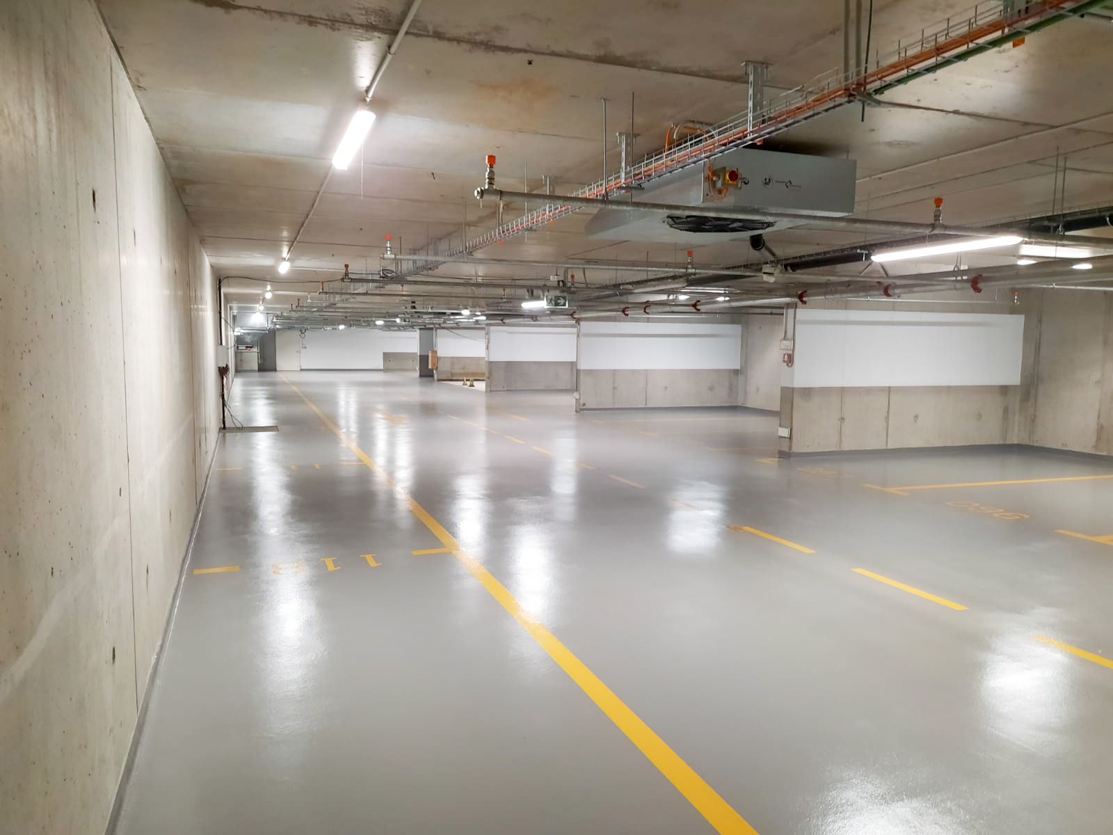 Un sol de couleur violette