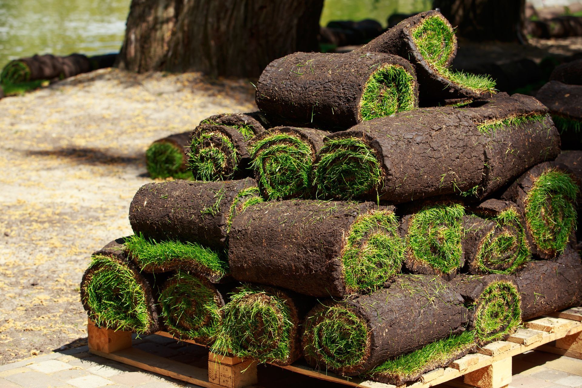 Pile de rouleaux de pelouse
