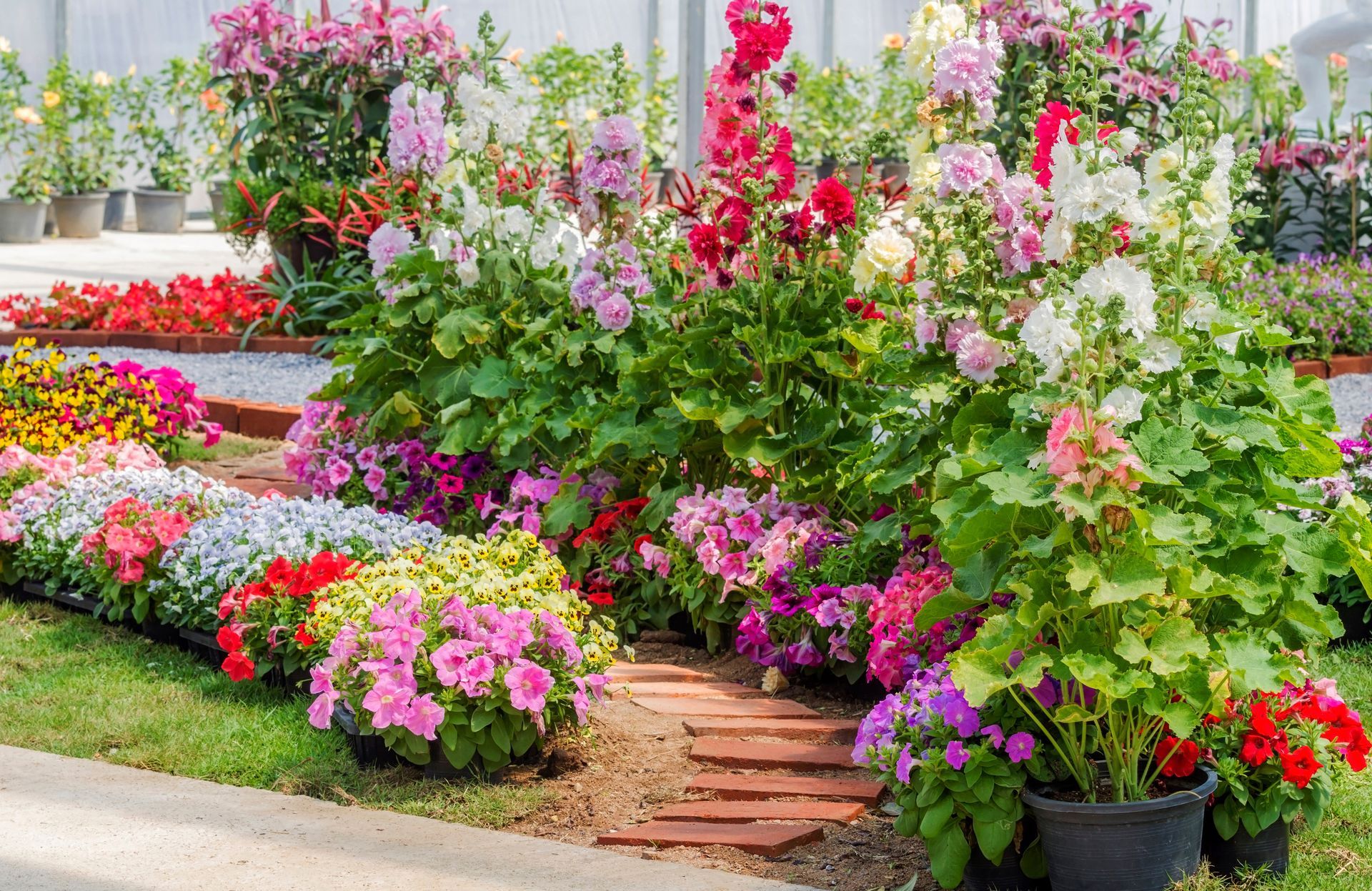 Allée de fleurs de toutes les couleurs