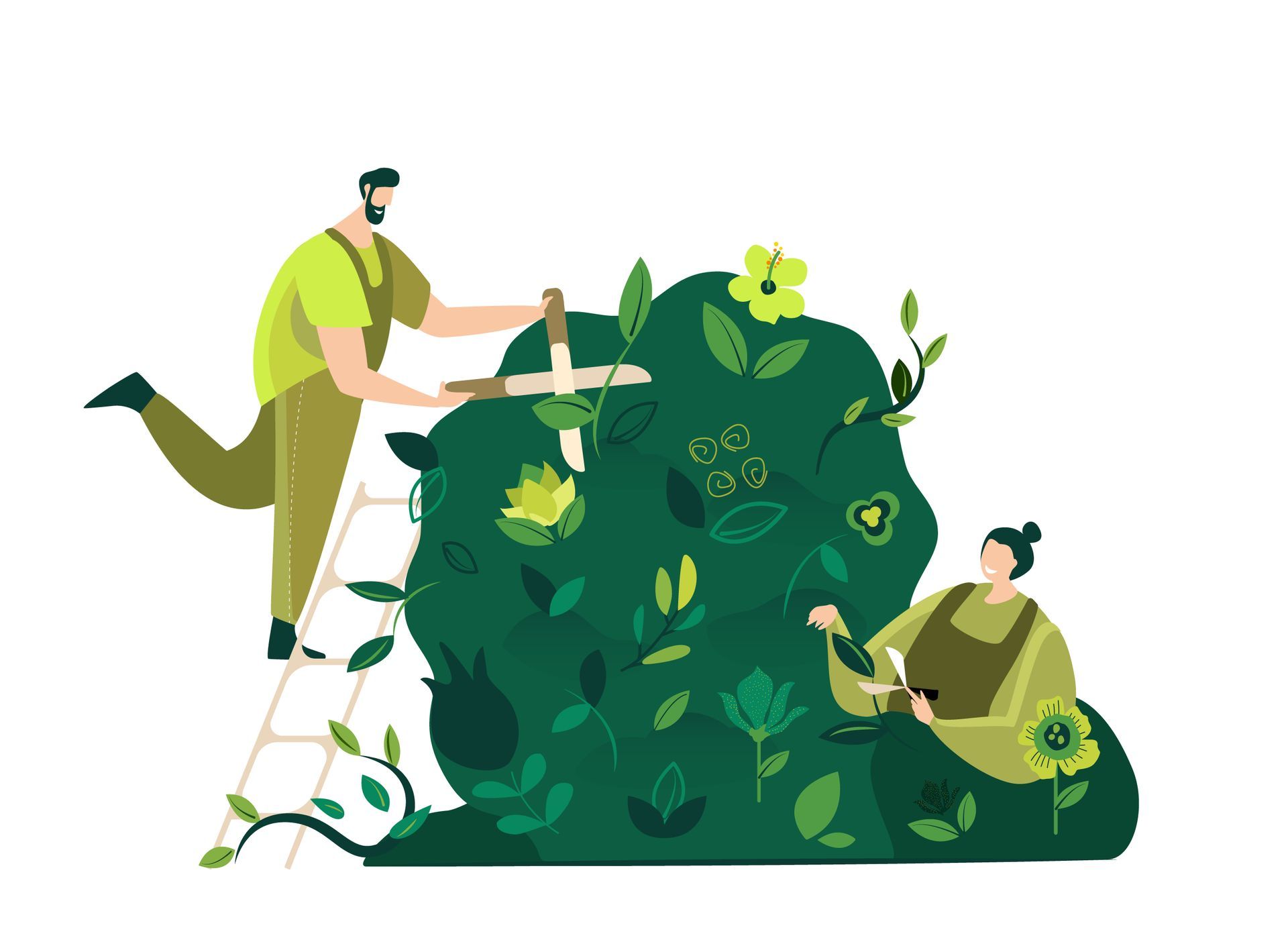 Dessin d'une taille de buisson