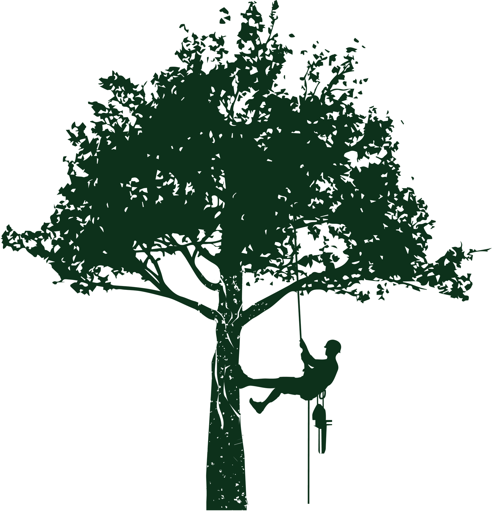 Image détourée d'un élagueur suspendu à un arbre