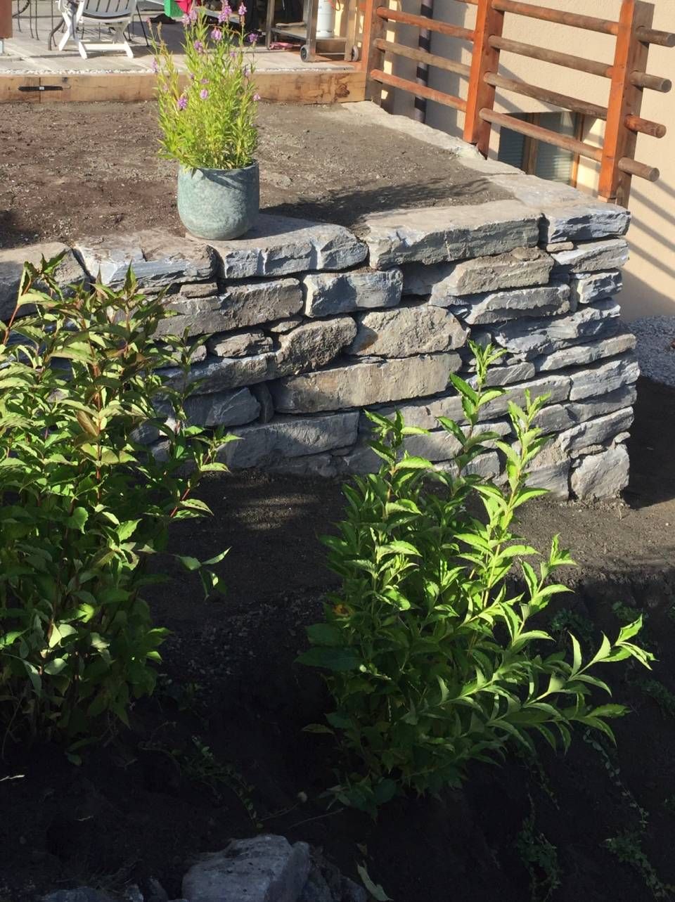 Un mur de pierre avec une plante en pot dessus.