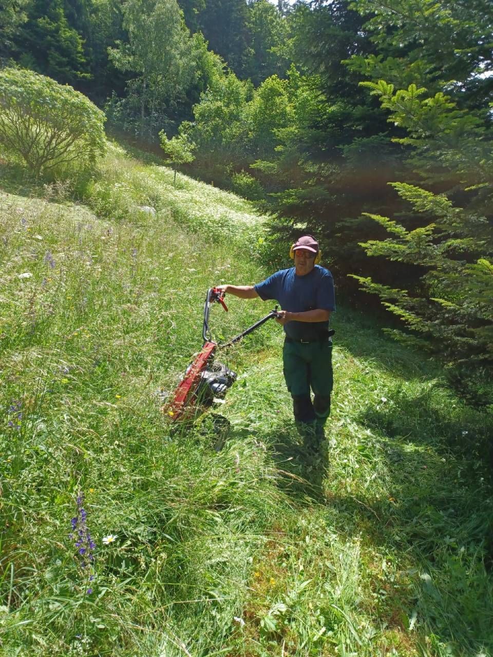 Un homme tond une colline herbeuse avec une tondeuse à gazon.