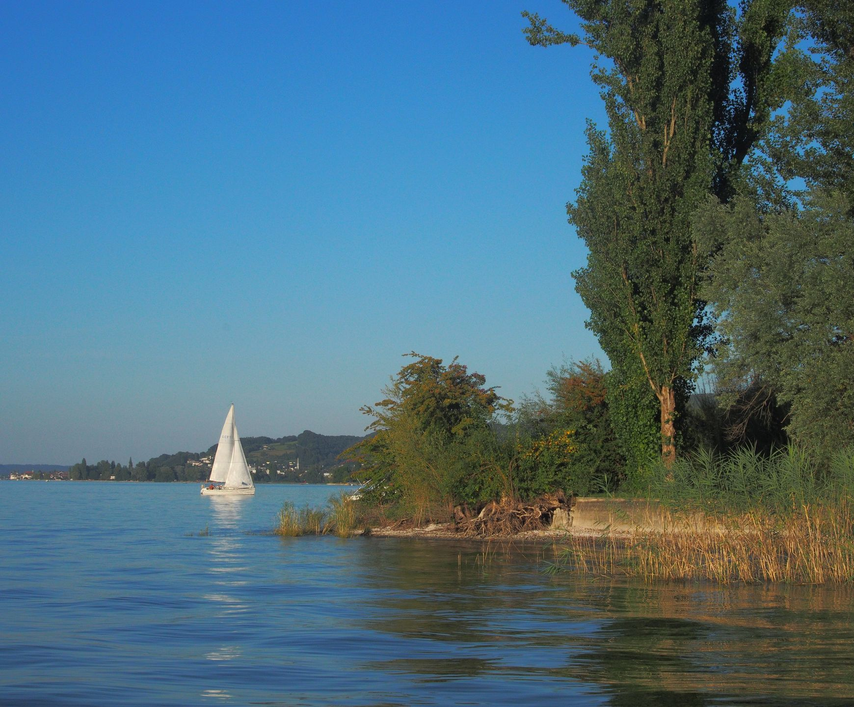 Sailing Clear Waters of Lake Constance near Mammern