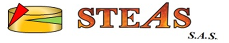 Logo STEAS
