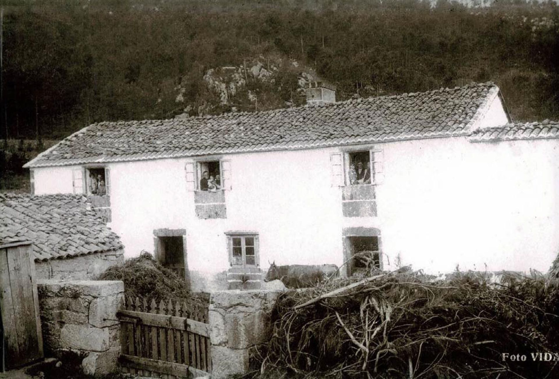 Una fotografía en blanco y negro de una casa con techo de tejas