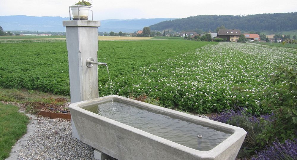 Steinhandwerk Fiechter