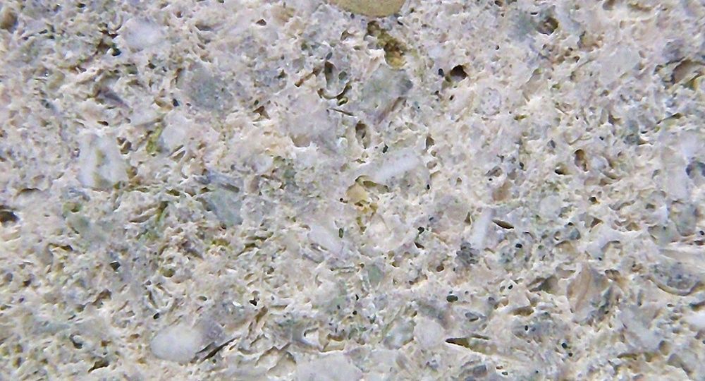 Steinhandwerk Fiechter