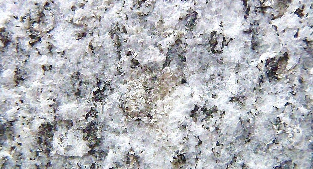 Steinhandwerk Fiechter