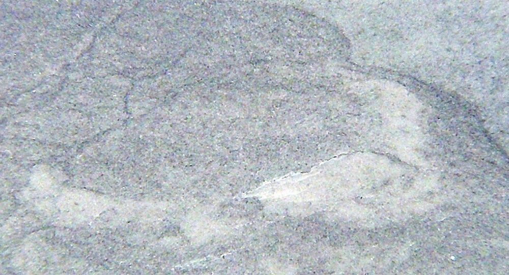 Steinhandwerk Fiechter