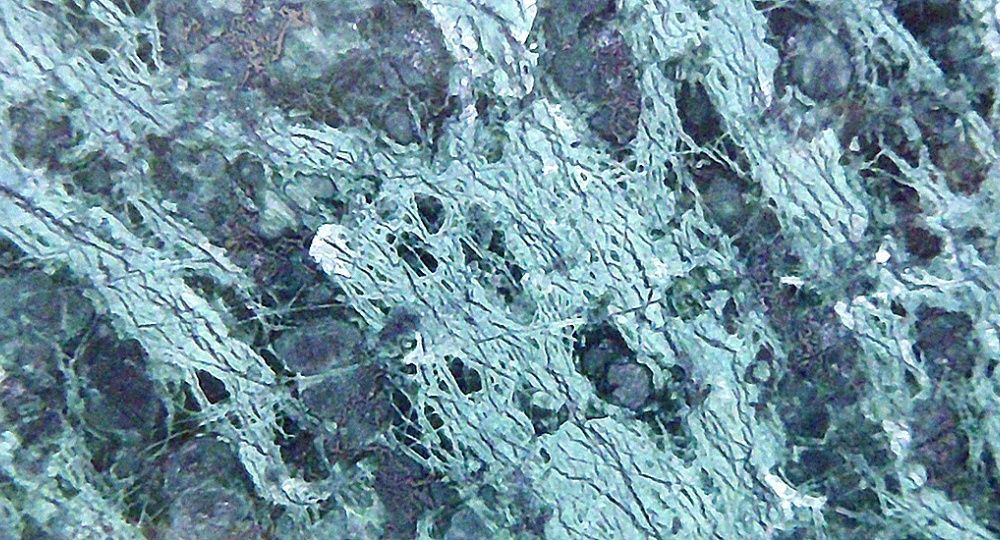 Steinhandwerk Fiechter