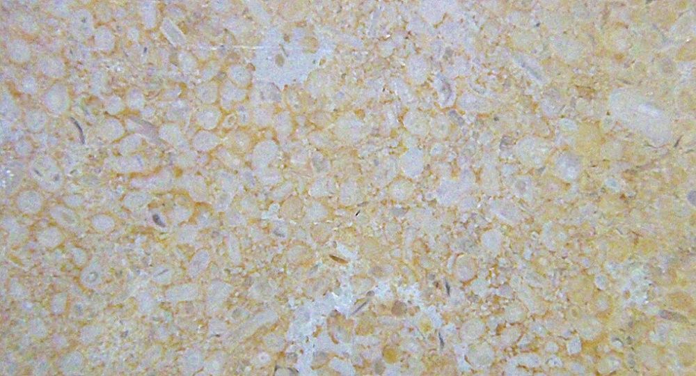 Steinhandwerk Fiechter