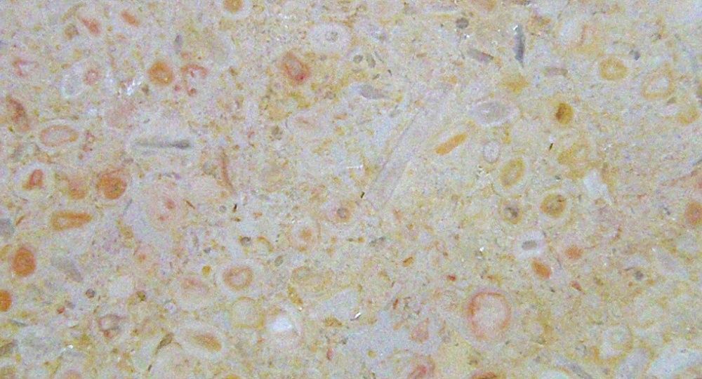 Steinhandwerk Fiechter