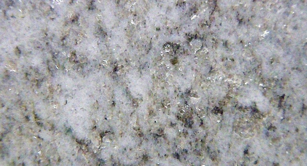 Steinhandwerk Fiechter