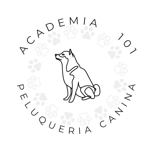 Academia y peluquería canina 101
