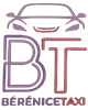 Un logo pour une compagnie de taxi appelée berenice taxi