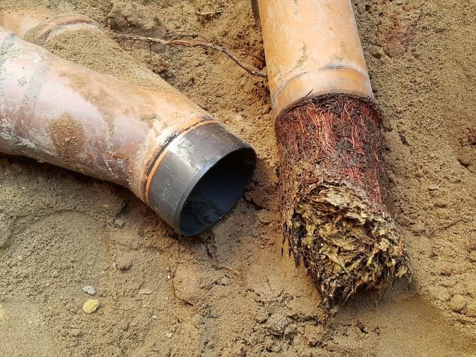 Kanalreinigung am eckigen Gulli in Essen