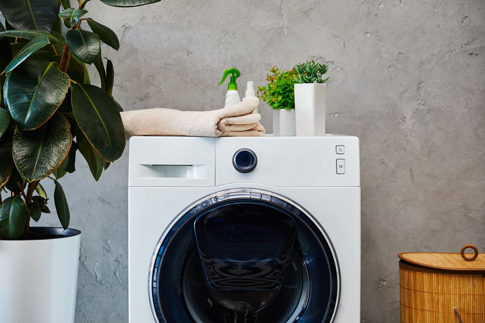 Machine à laver blanche à chargement frontal dans une buanderie avec des plantes en pot.
