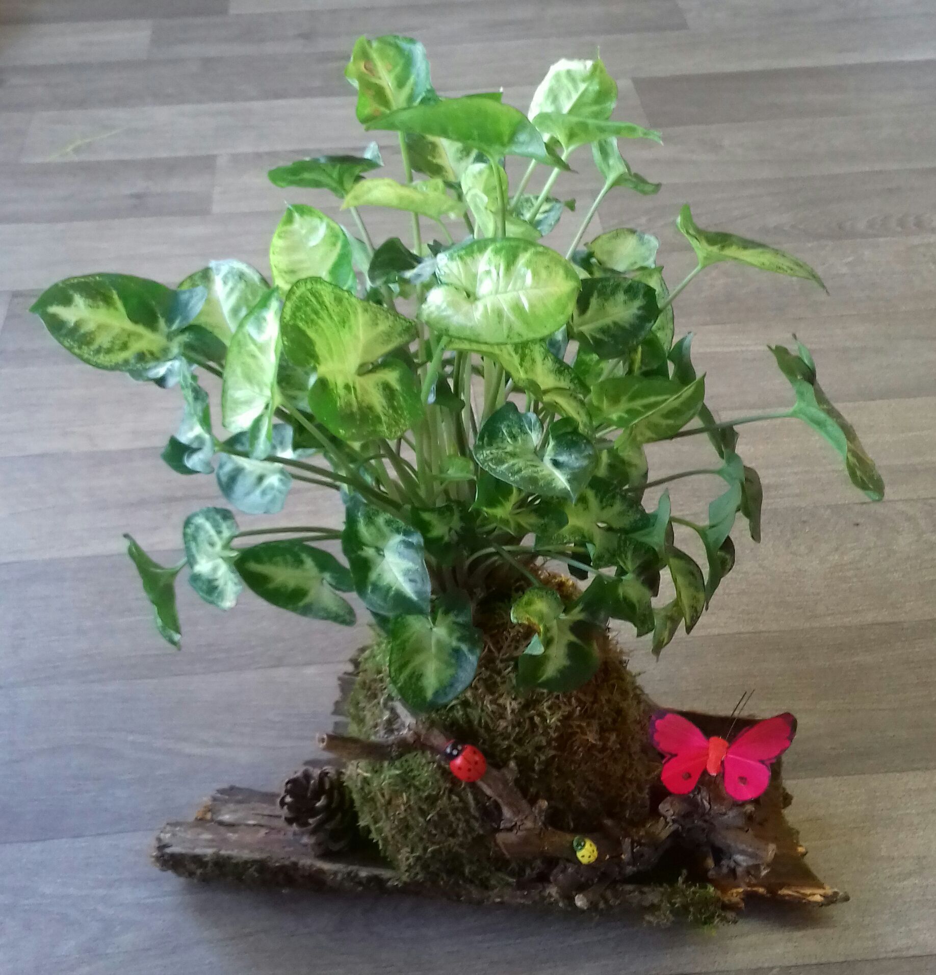 Composition florale avec plante verte et papillons