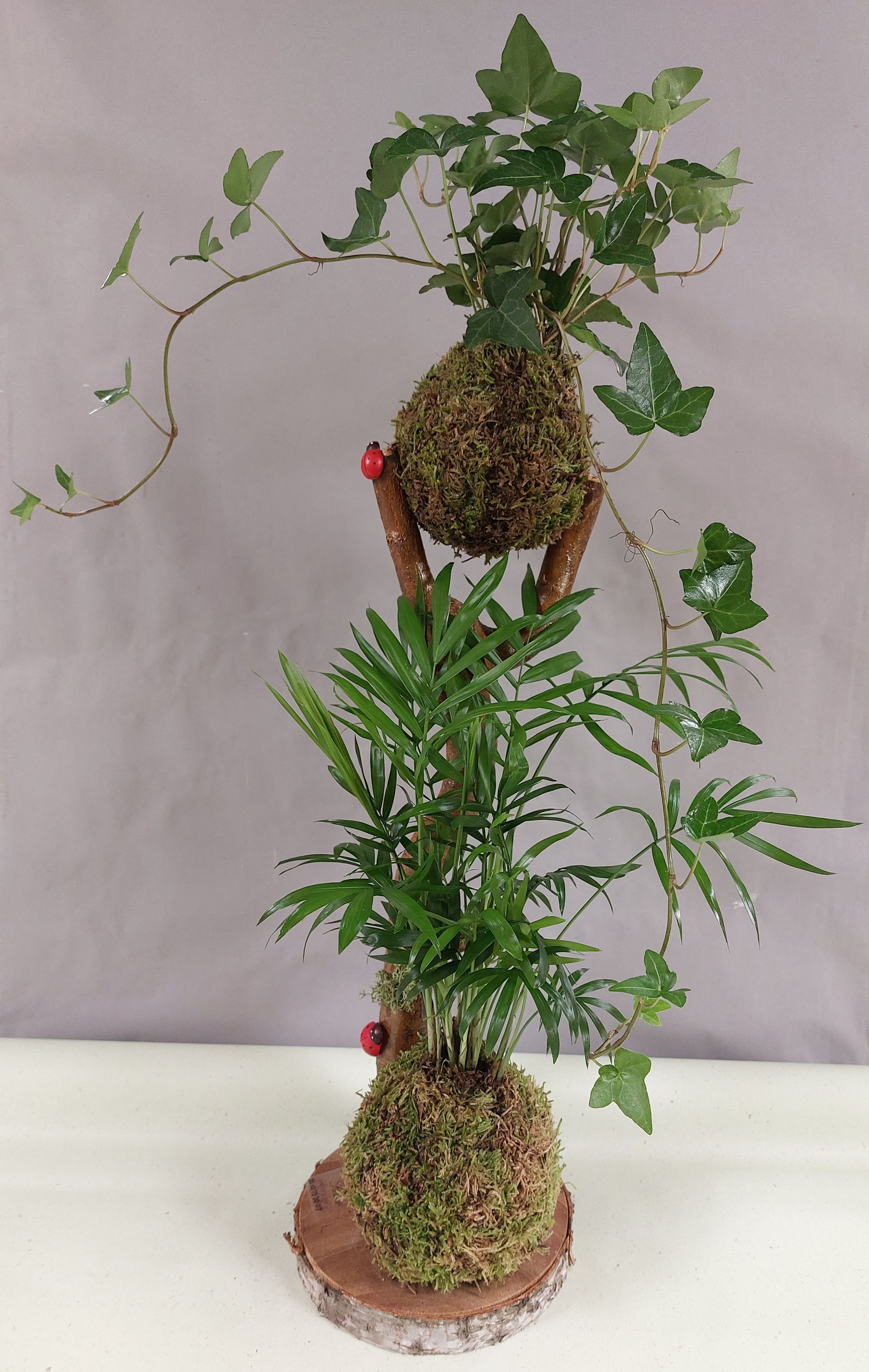 Art topiaire composé de deux boules de mousse et de plantes vertes sur un socle en bois.