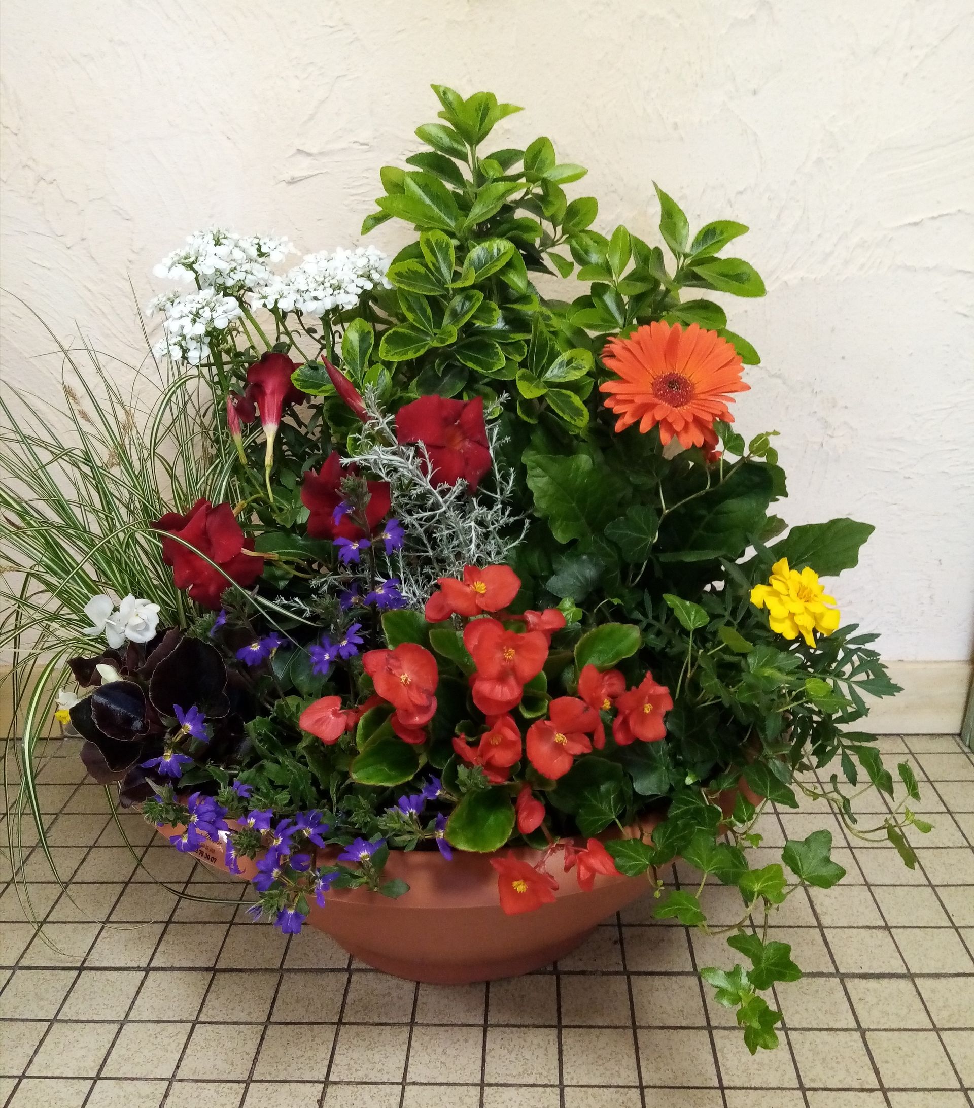 Composition florale rouge violette et verte