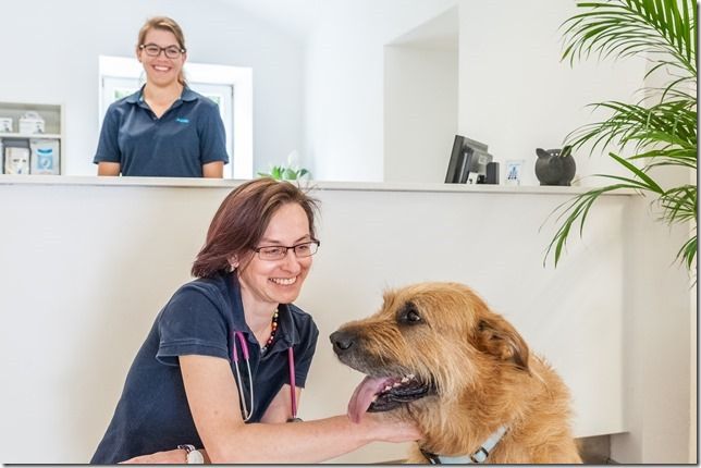 Eine Frau lächelt und streichelt einen Hund in einer hellen Tierklinik; im Hintergrund ist eine weitere Person zu sehen.
