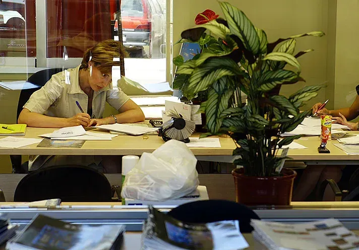 Una persona está inclinada sobre unos papeles en un escritorio de una oficina, con una gran planta en maceta en primer plano.