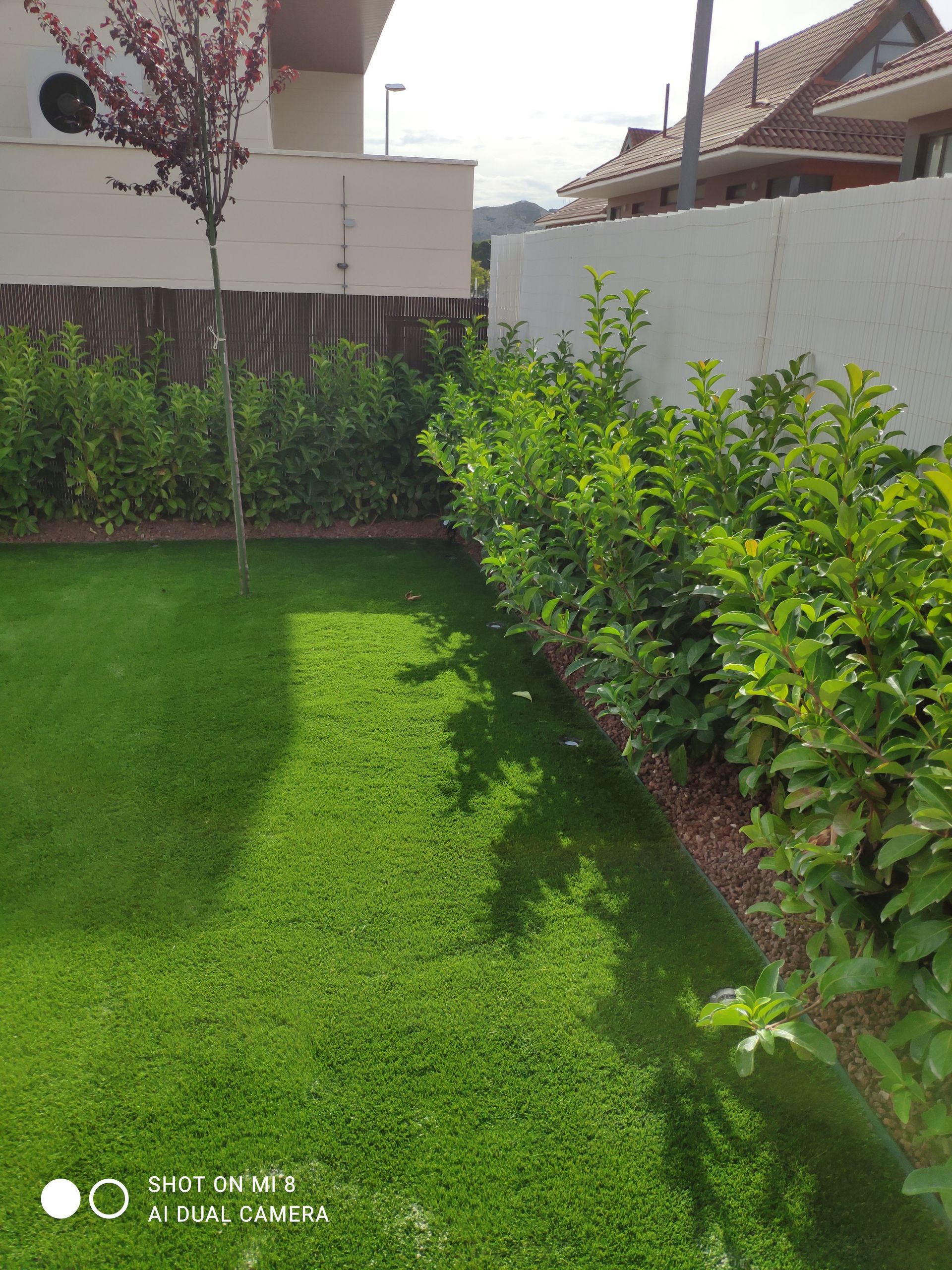 Un césped verde exuberante con una valla blanca al fondo.