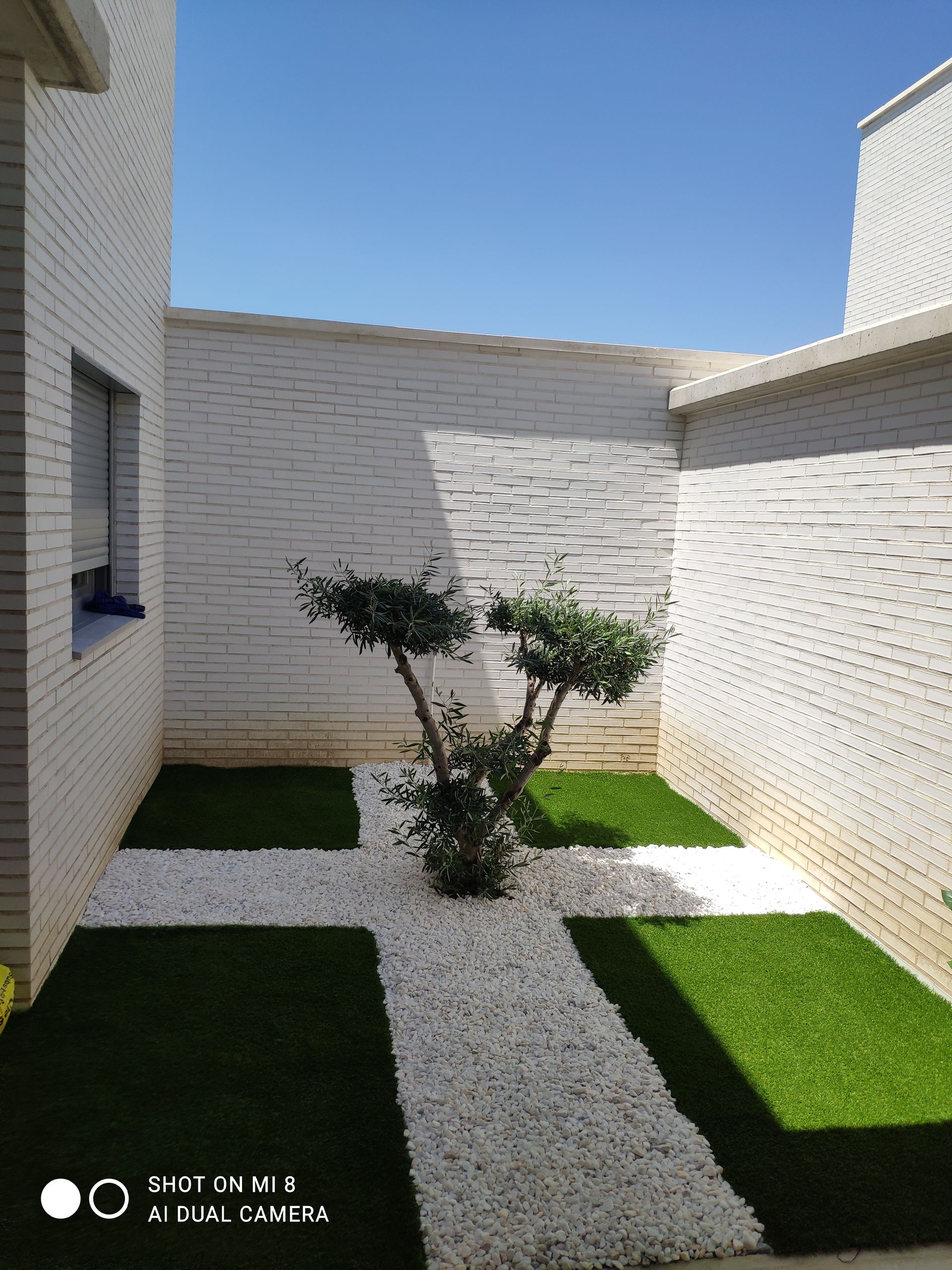 Hay un pequeño árbol en el medio del jardín.