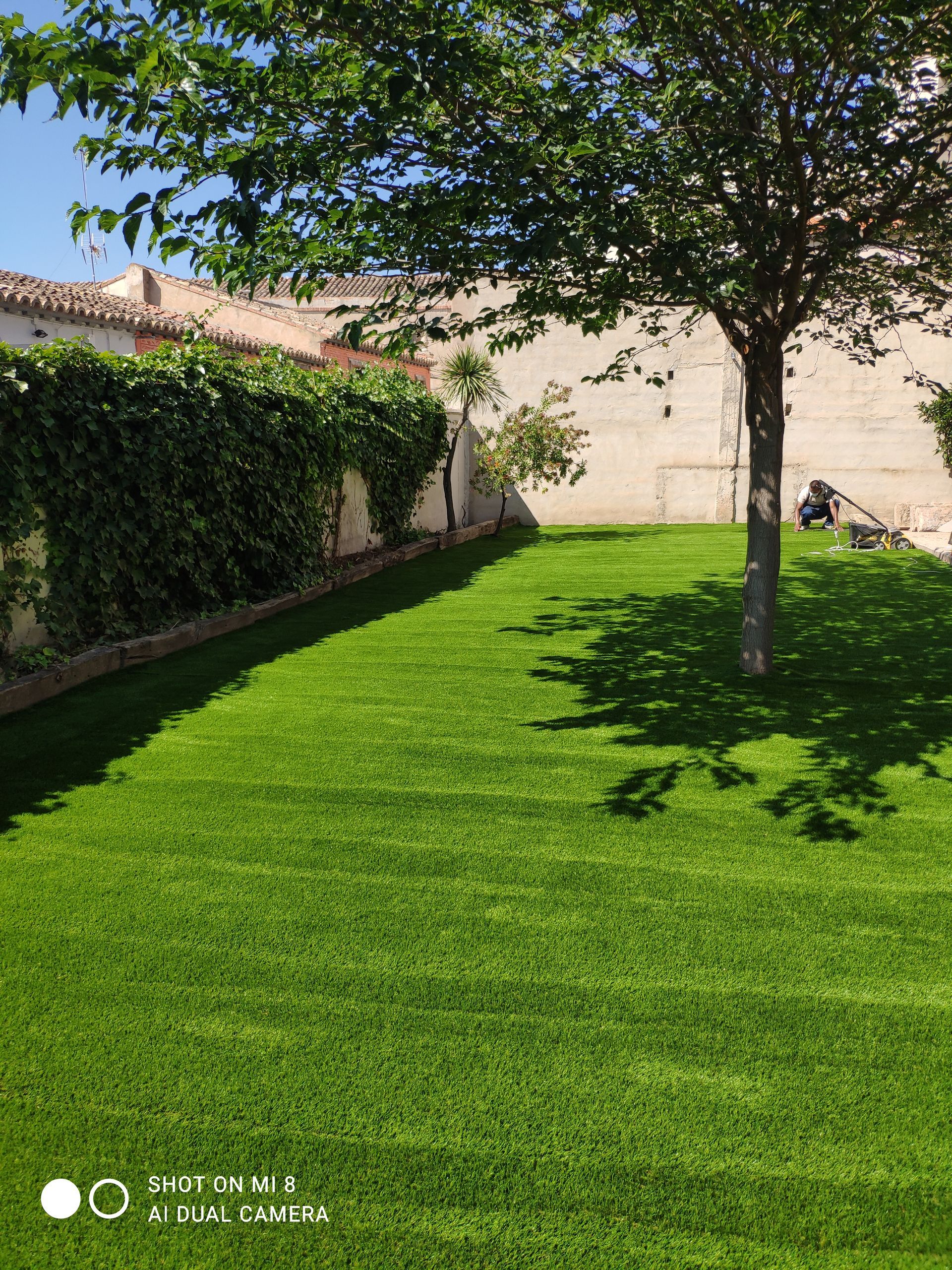 Un césped verde y exuberante con un árbol en el medio.