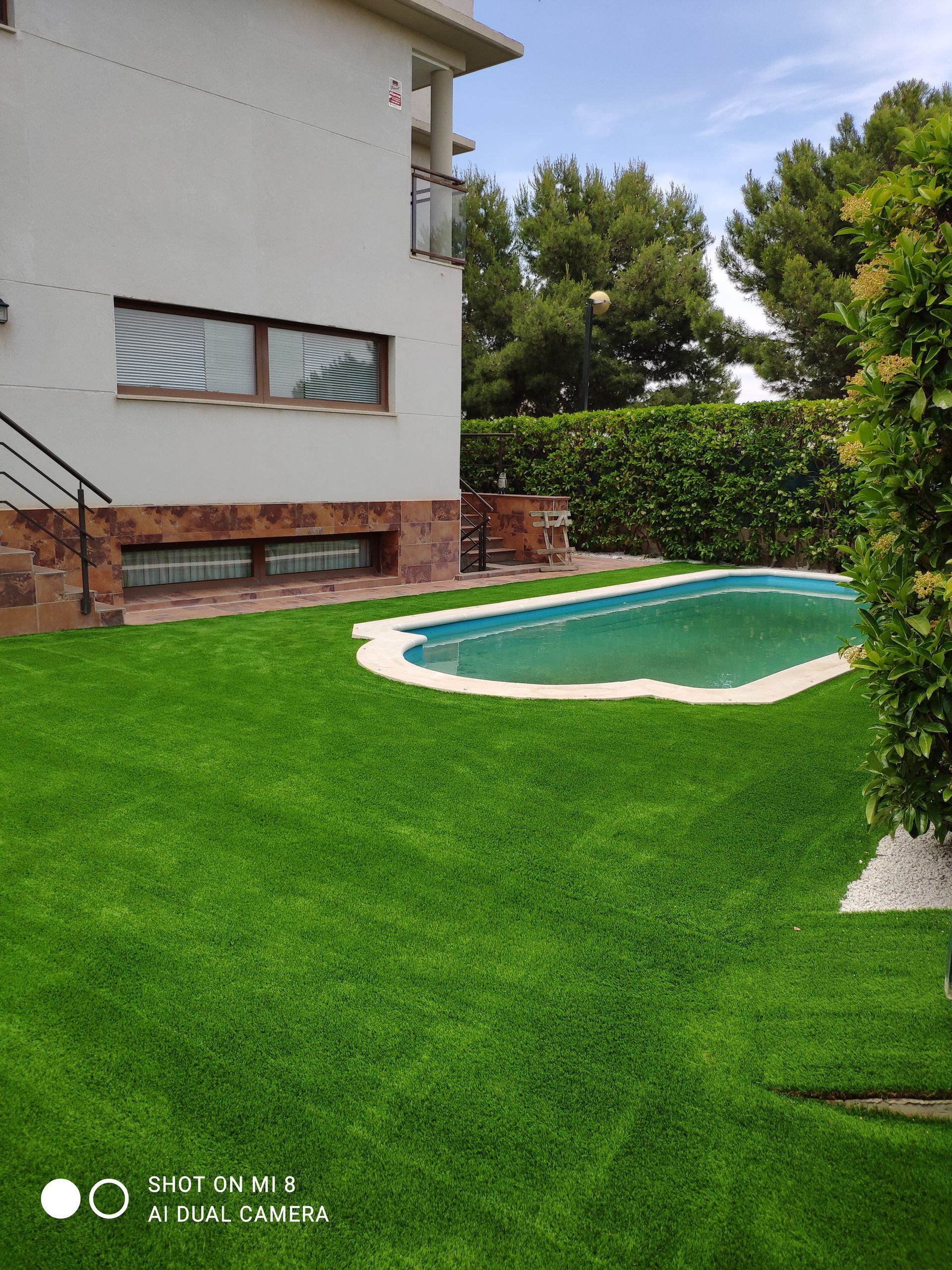 Hay una gran piscina en el patio trasero de una casa.