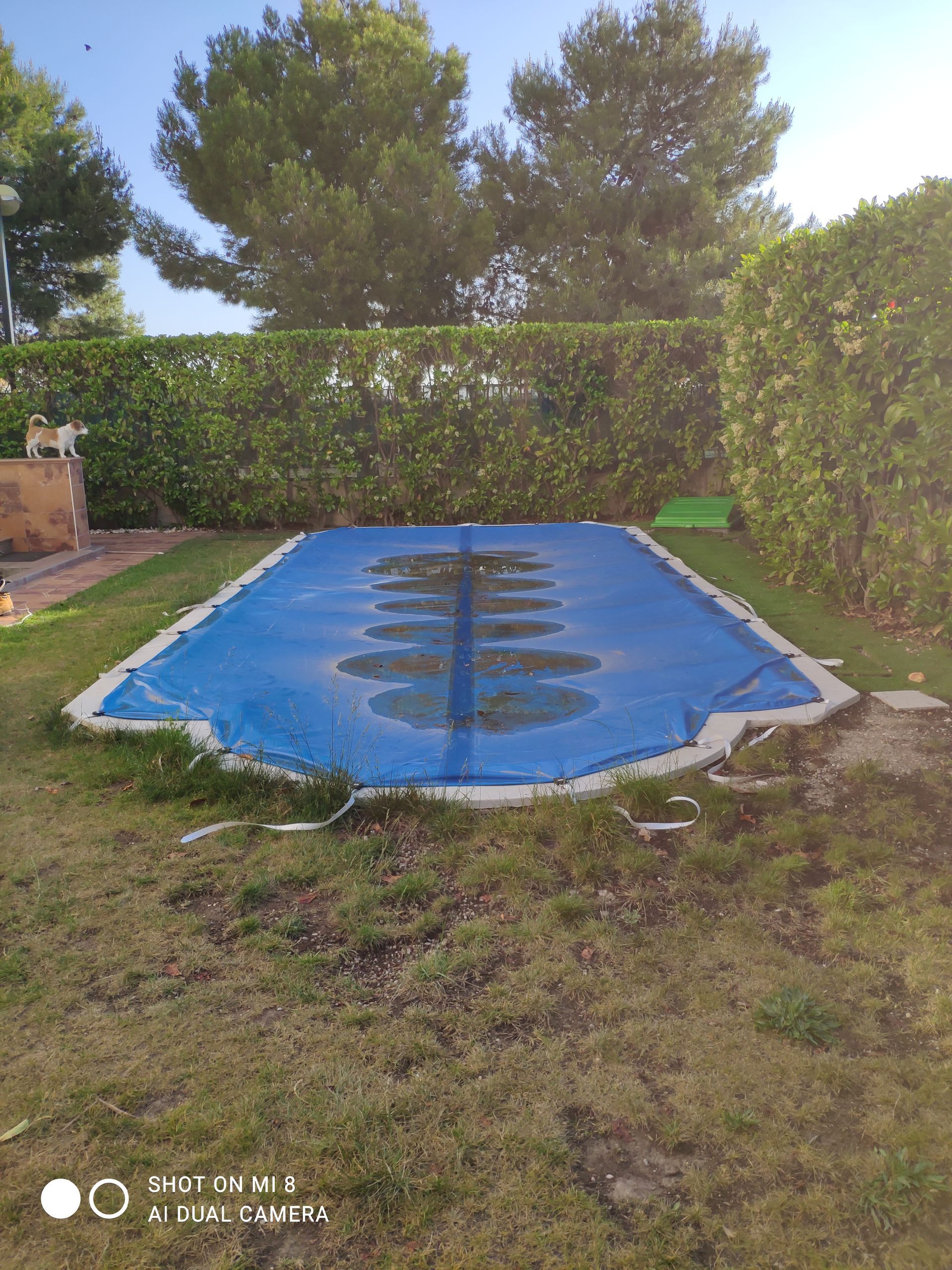 Una lona azul cubre una piscina en un patio trasero.
