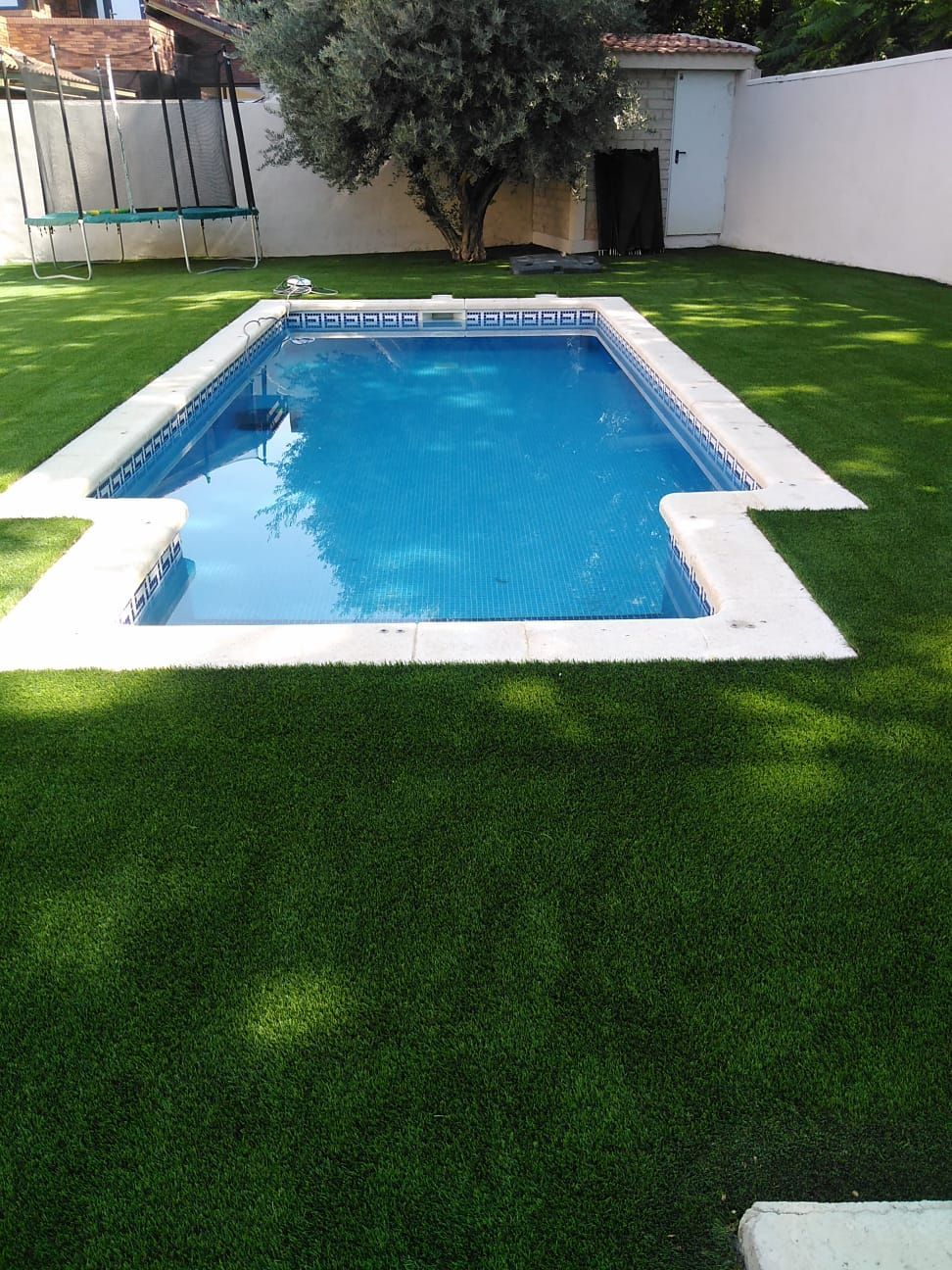 Una gran piscina rodeada de césped verde en un patio trasero.