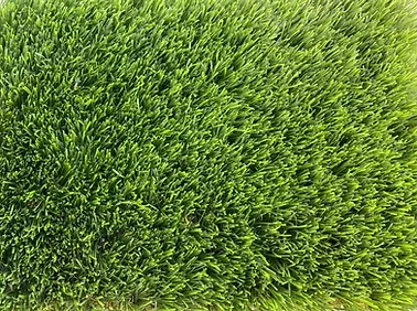 Un primer plano de un exuberante campo de hierba verde.