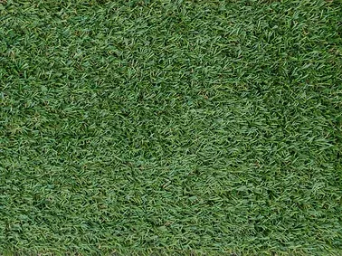 Un primer plano de un trozo de césped verde.