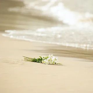 Weiße Blüten an einem Sandstrand; Wellen im Hintergrund, bedeckter Himmel.