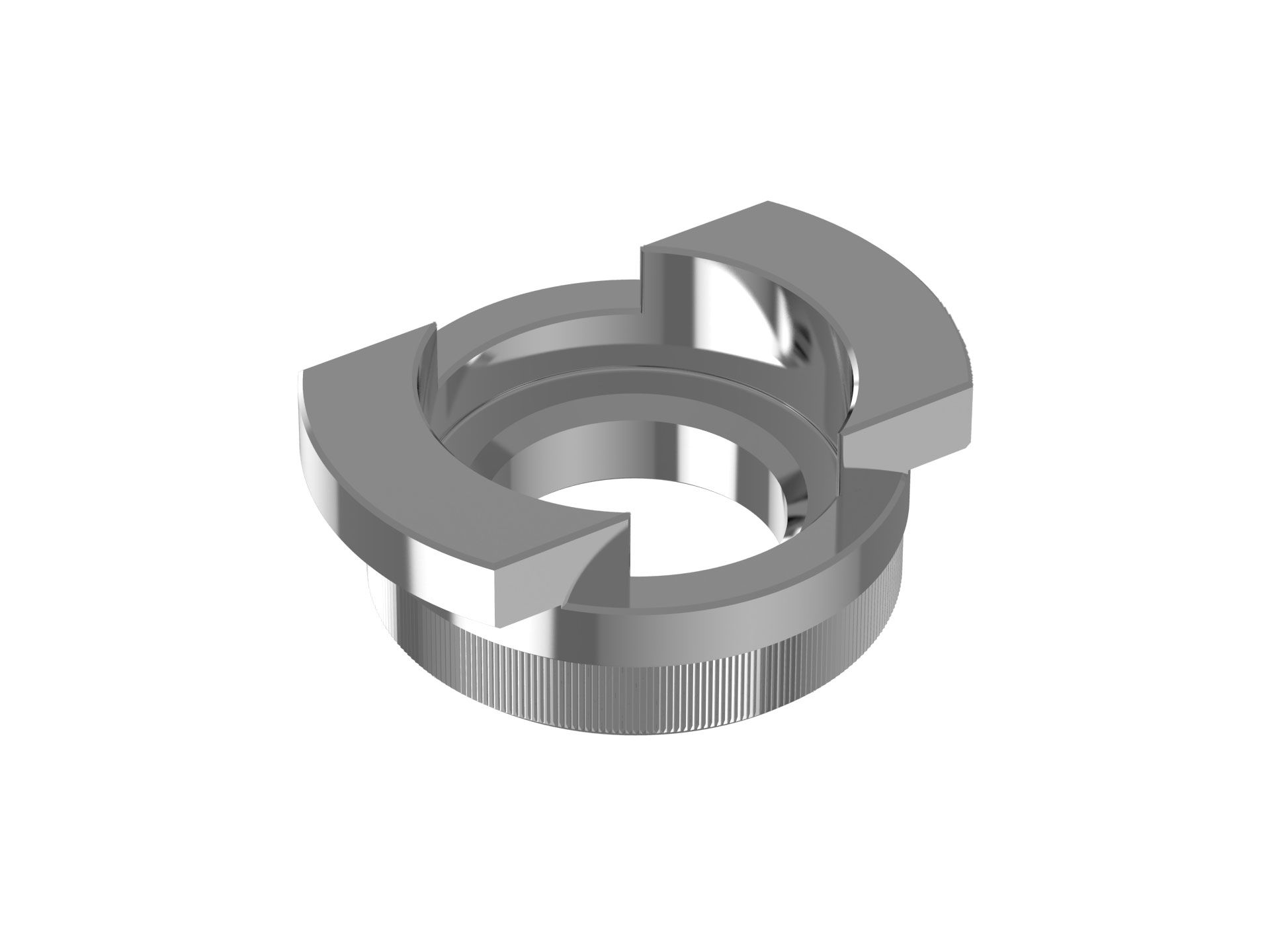 Ein 3D-Modell eines Metallrings auf weißem Hintergrund.