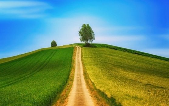 Kursbild von Jonas Ulmer Consulting