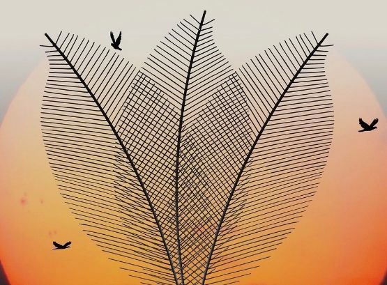 Kursbild von Jonas Ulmer Consulting