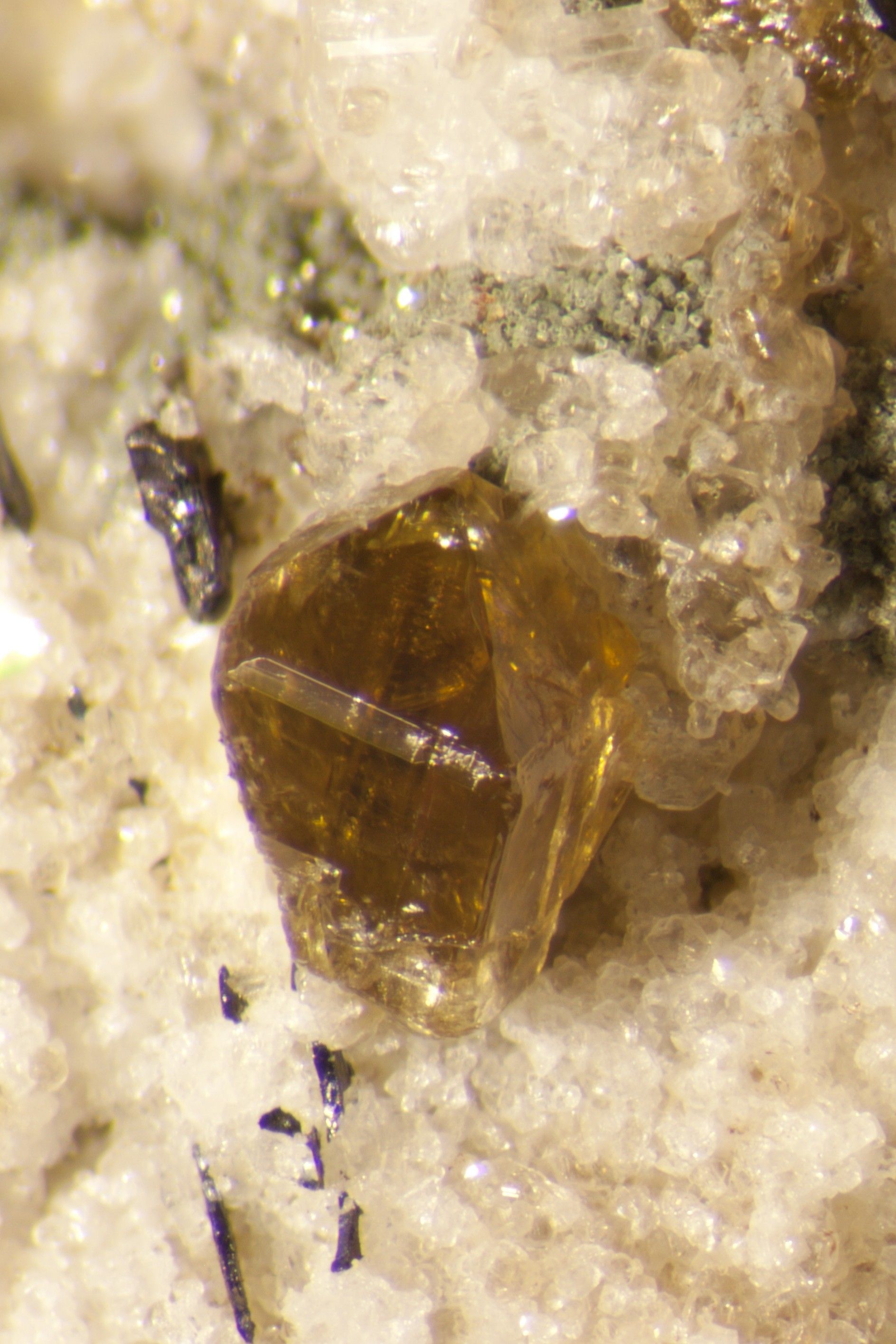 Xenotim 2mm
Val Maighels