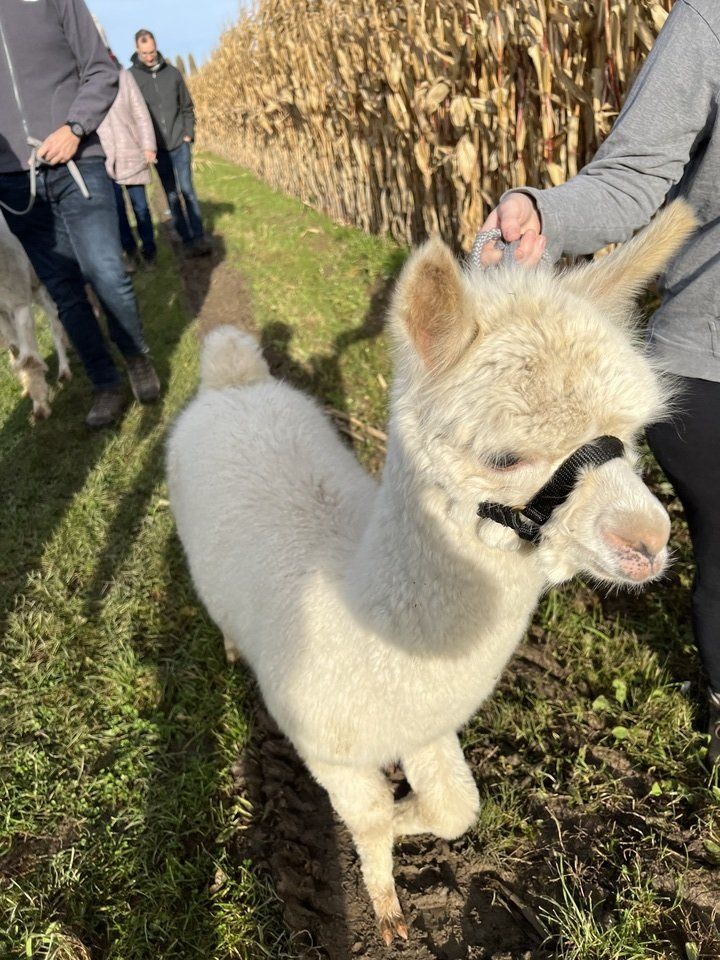 Wandeling zonder begeleiding