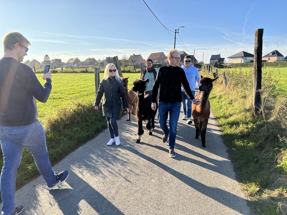 wandelen met alpaca's
