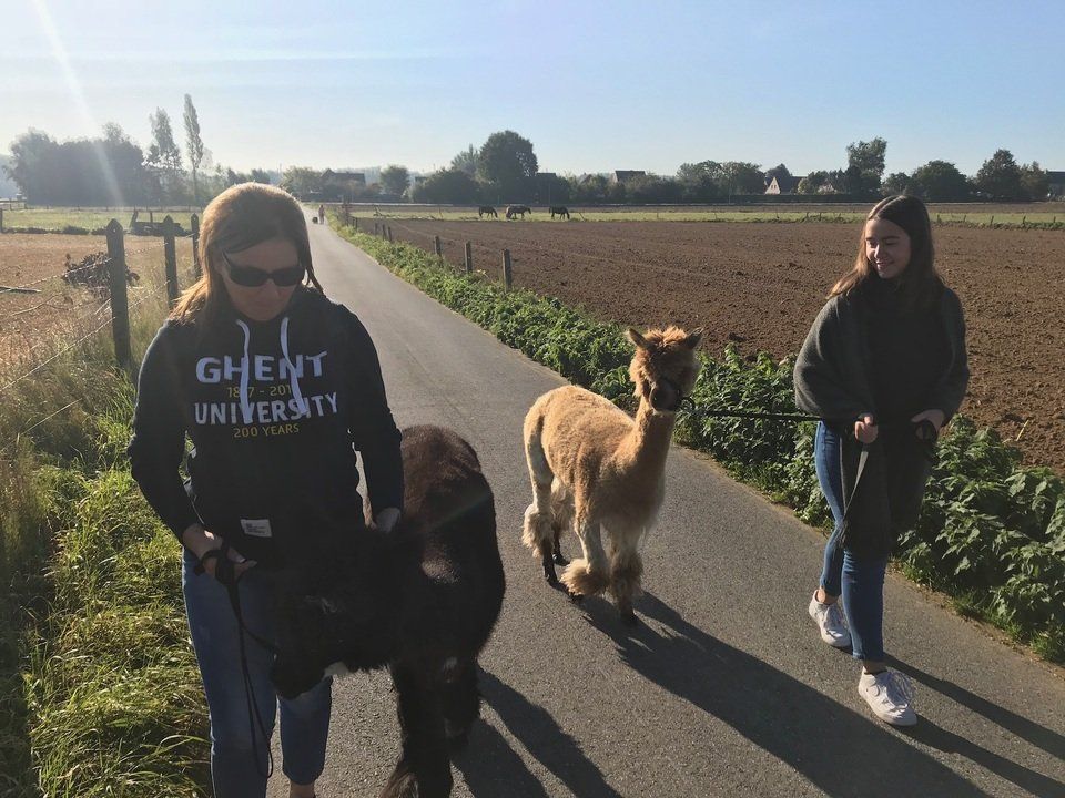 Wandelen in Erpe-Mere